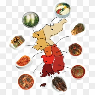 Where Kimchi Come From - Cartoon, HD Png Download
