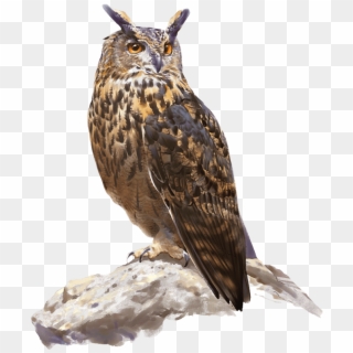 Búho Real - Great Horned Owl, HD Png Download