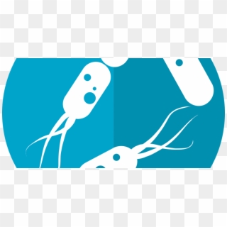 Why Use Probiotics With Antibiotics - Bacteria Icon Png, Transparent Png