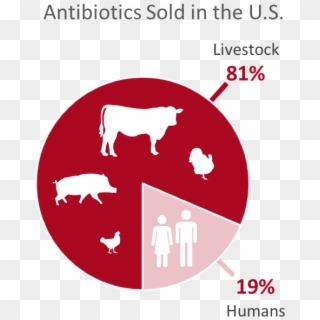 Breakdown Of Antibiotics Sold In The United States - Graphic Design, HD Png Download