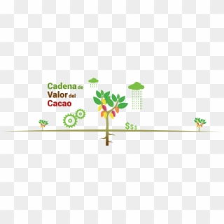 09 Am 10013 Cadena Valor Paso 2 2 10/16/2015 - Cadena Productiva De Cacao, HD Png Download