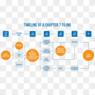 Illustration Of Chapter 7 Bankruptcy Timeline - Chapter 7 Bankruptcy Timeline, HD Png Download