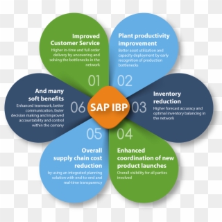 Business Plan Consultants India Sap Integrated Planning - Integrated Business Planning Sap, HD Png Download
