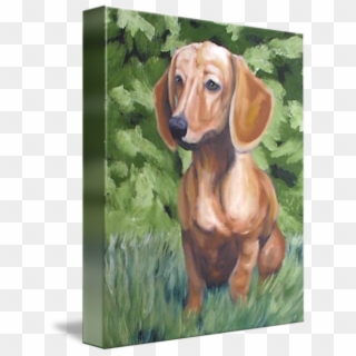 In The Grass - Dachshund, HD Png Download