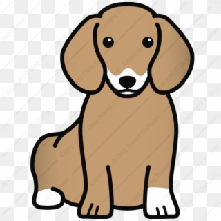 Brown Edition Dog - Dachshund Cartoon Png, Transparent Png