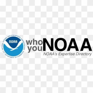 Whoyounoaa - Graphics, HD Png Download