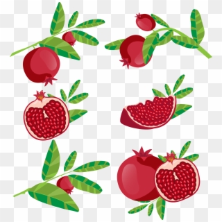Jpg Download Juice Fruit Icon Red Transprent - Delima Vector, HD Png Download