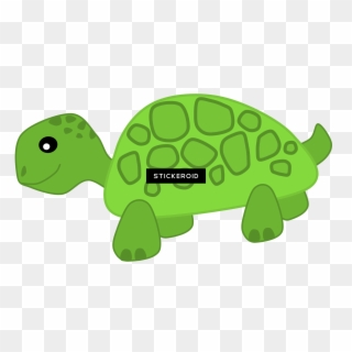 Cute Turtle Png - Turtle, Transparent Png