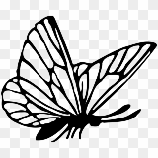 Clip Art Transprent Png - Butterfly Drawing Png, Transparent Png