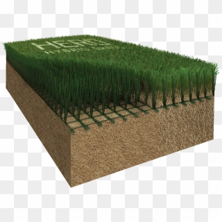 A Revolution In New Hybrid Grass Technology - Hedge, HD Png Download