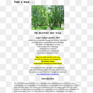 Beaufort Tree Walk - Tree, HD Png Download