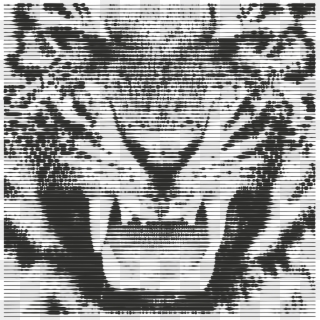 This Free Icons Png Design Of Tiger Growling - Roaring Royal Bengal Tiger, Transparent Png