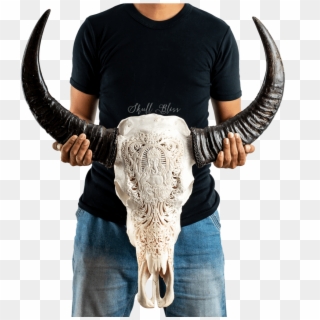 Horn, HD Png Download