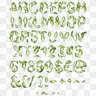 Pipal Leaves Font - Leaves Typeface, HD Png Download
