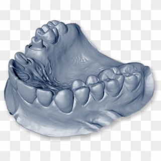 Isolated Dental Model Mandible 3d-model - Dental Digital Lab Logo, HD Png Download