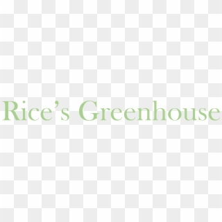 Rice's Greenhouse - Graphic Design, HD Png Download