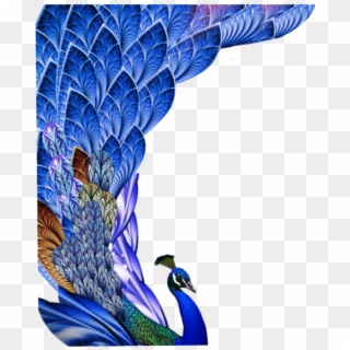 #peacock #bird #birds #animal #feather #feathers #freetoedit - High Resolution Peacock Feather Png, Transparent Png