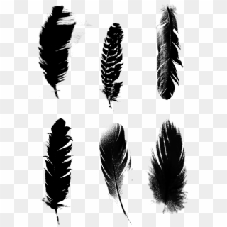 Black Feathers Commercial Minimalist Png และ Psd - Feather, Transparent Png