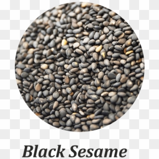 Black Sesame Seeds - Bead, HD Png Download