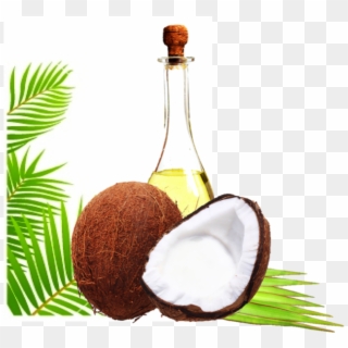 #1 Must Have In Every Home - Oil Coco Png Transparent, Png Download