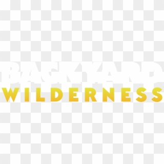 Backyard Wilderness Color Logo - Graphic Design, HD Png Download