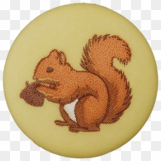 Button Shank Squirrel Article - Cartoon, HD Png Download