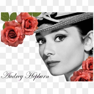 Audrey Hepburn, HD Png Download