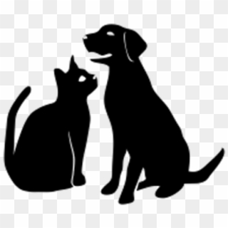 You Can Also Contact Kenton County Animal Shelter At - Cat And Dog Icon Png, Transparent Png