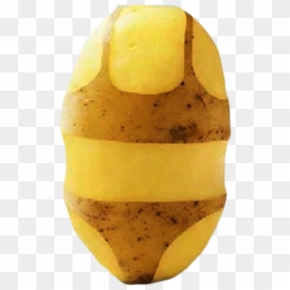 Long Live The Reign Of The Potato - Russet Burbank Potato, HD Png Download