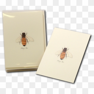 Your Local Virginia Bee Supply Store - Honeybee, HD Png Download