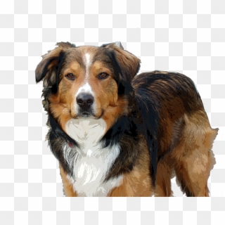 Companion Dog, HD Png Download