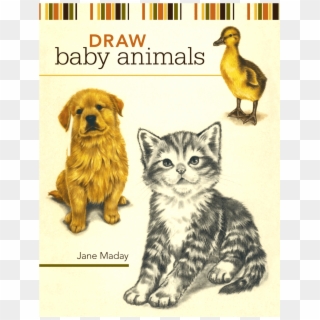Draw Baby Animals - دانلود کتاب طراحی حیوانات, HD Png Download