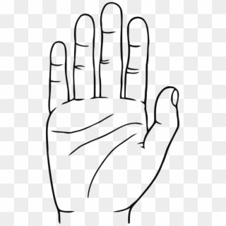 Hand Finger Digit Upper Limb Glove - Naukri.com, HD Png Download