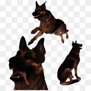 Fallout 4 Dog Png - Fallout 4 Dogmeat Png, Transparent Png
