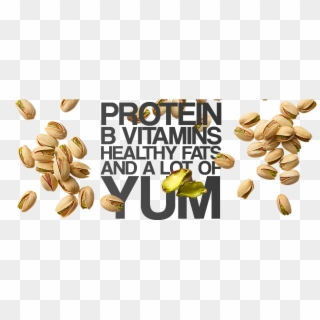 Protein, B Vitamins, Healthy Fats And A Lot Of Tum - Pistachio, HD Png Download
