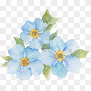 #forgetmenot #scfloral #floral #freetoedit - Forget Me Not Flowers Clipart, HD Png Download