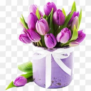 Lavender Flower Png - Flower Box Tulip, Transparent Png