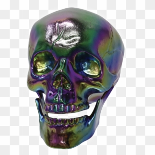 Oil Slick Skull Skeleton Head Decoration Skull Desert - Skull, HD Png Download