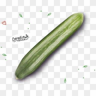 Average Lenght - Cucumber, HD Png Download