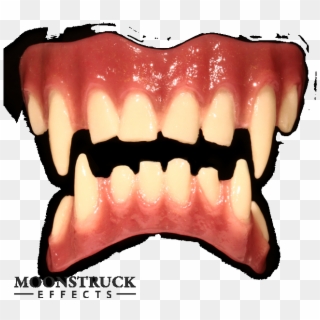 Wolf Teeth Transparent, HD Png Download