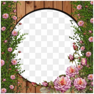 Rose Vine - Flower Picture Frame Png, Transparent Png