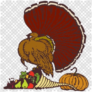 Stuff It Throw Blanket Clipart Thanksgiving Turkey - Turkey Free To Use, HD Png Download