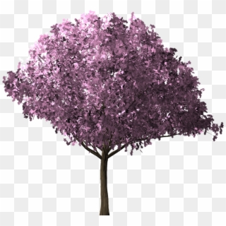 Cherry Blossom Tree Cherry Blossom Tree Scrapbook - Silk Tree In Png, Transparent Png