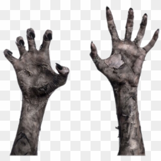 728 X 696 3 - Zombie Hand Transparent Background, HD Png Download