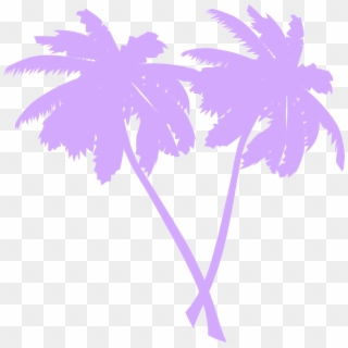 Png Palm Trees, Transparent Png