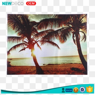 Oil Paintings Palm Trees, Oil Paintings Palm Trees, HD Png Download