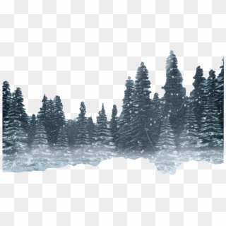 Forest Png Hd Photo - Winter Forest Transparent Background, Png Download