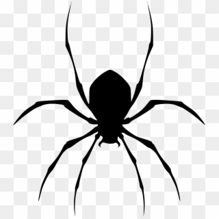Png File - Araña Icon, Transparent Png