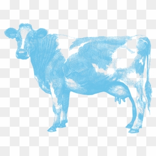 Cow - Aunt Jeans Co Nz, HD Png Download