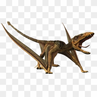 Flying Dinosaur Png - Dimorphodon, Transparent Png